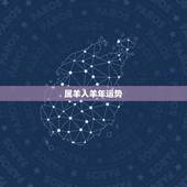 属羊人羊年运势，求属羊的人在2011年的运势