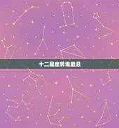 十二星座男谁最丑，男十二星座谁最丑男