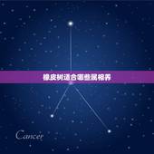 橡皮树适合哪些属相养，橡皮树的养护有哪些禁忌？