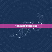 1988年属龙今年运势，1988年属龙今年运势怎么样？