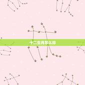 十二生肖怎么排，十二生肖怎么排金木水火土？