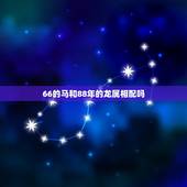 66的马和88年的龙属相配吗，属马和属龙的相配吗