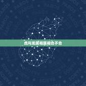 虎与龙属相属相合不合，生肖虎和龙配吗？