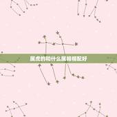 属虎的和什么属相相配好，虎猴相冲是什么生肖