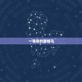 一等命的属相马，一月份的马的一生运势
