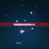 婚姻最配的属相是什么，婚姻属相相配