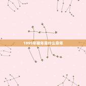 1995年猪年是什么命年，1995年是什么命？1995年出生的属猪人的