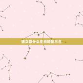 猪女跟什么生肖婚配三合，属猪的女生和什么属相最配