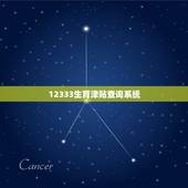 12333生育津贴查询系统，生育津贴怎么查询？