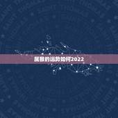属猴的运势如何2022，2022年属猴人的运程