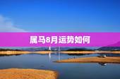 属马8月运势如何，属马人196611月运势