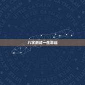 八字测试一生命运，帮我测测八字，及一生的命运，谢谢
