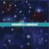 狗属相男和什么属相最配属，1994男属狗的和什么属相最配