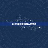 2023年纠缠旧情人的生肖(谁将陷入爱情漩涡)
