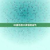 85属牛的35岁后的运气 1985年属牛35岁的命运