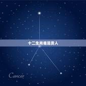 十二生肖谁是贵人，12生肖贵人表