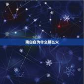 陶白白为什么那么火，陶白白是啥