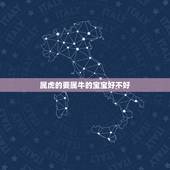 属虎的要属牛的宝宝好不好，家里有属牛和属虎的两个宝宝好吗