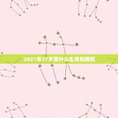 2021年37岁属什么生肖和婚配，十二生肖岁数年龄表
