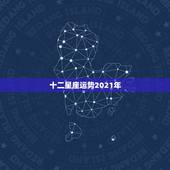 十二星座运势2021年，2021十二星座财运排名 谁最有钱
