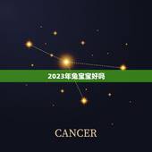 2023年兔宝宝好吗，兔宝宝全屋定制官