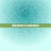 属鼠男和属牛女婚姻相配吗，男属鼠女属牛婚姻如何拜托各位