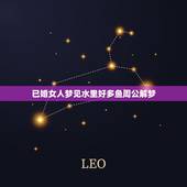 已婚女人梦见水里好多鱼周公解梦，女人梦见清澈见底水里很多鱼