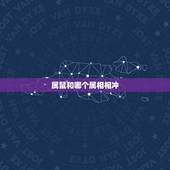 属鼠和哪个属相相冲，鼠属相和什么相冲相克