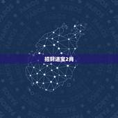 招财进宝2肖，招财进宝古币背面有十二只生肖的他的价值多少钱？