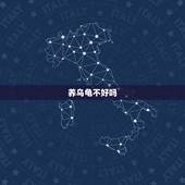 养乌龟不好吗，在家养乌龟好吗？
