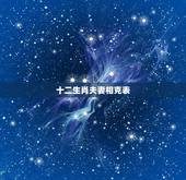 十二生肖夫妻相克表，十二生肖相冲相克婚配表