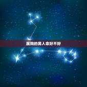属狗的男人命好不好，属狗男离不开的女人