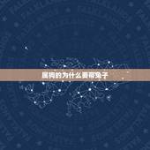 属狗的为什么要带兔子，今年属狗的身上配戴一个属相是兔的是为啥