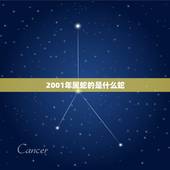 2001年属蛇的是什么蛇，2004年属猴是什么命