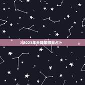 2023年天降紫微星占卜，2023世界巨星紫微星