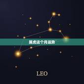 属虎这个月运势，属虎11月运势