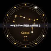 91年的羊30以后开始顺风顺水，30岁的羊今年运势怎样