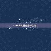 1998年属虎是什么命，1998年属虎男一生命运
