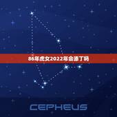 86年虎女2022年会添丁吗，1986属虎女人2022年的运气
