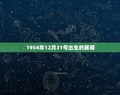 1954年12月31号出生的属相，2019年12月31号属什么生肖？