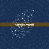 六五年男蛇一生命运，1965年出生男一生命运