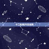 十二生肖j今日运势，12生肖09运势