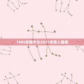1985年属牛女2021年贵人属相，2023年属牛的2021年多大虚岁