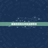 属猪的旧历五月份运势咋样，我属猪，71年农历5月初五早上不到5点出生，