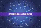 正版苏民峰2021年生肖运程，2021年生肖运势大全排名 运程详解