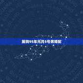 属狗95年元月5号男婚配，95nian属狗的和什么属相最配
