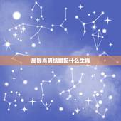 属猴肖男结婚配什么生肖，婚配，男属猴应该配哪个生肖