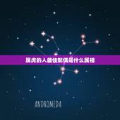 属虎的人最佳配偶是什么属相，属虎的最佳配偶是属什么的？