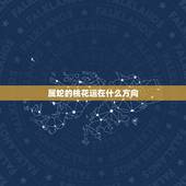 属蛇的桃花运在什么方向，属蛇一生有几次桃花运