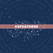 总是梦见自己的属相蛇，属蛇的梦到蛇是什么意思
